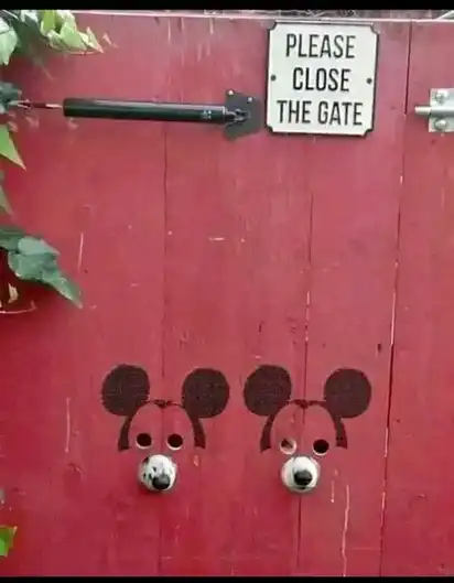 A big red gate with small holes in it. Two dog noses stick out through the holes