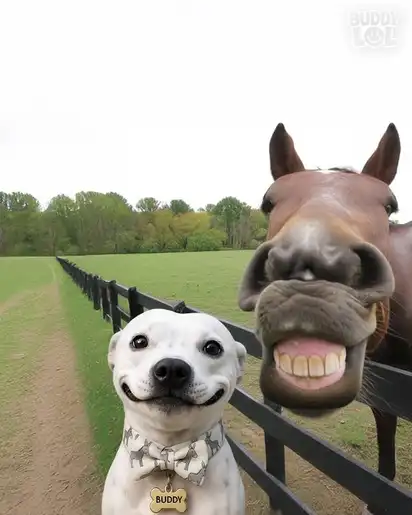 A white dog poses next to a horse for a funny selfie. The horse is behind a fence and has a very toothy smile.