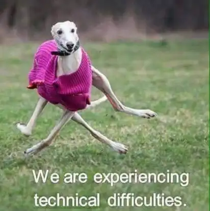 A white greyhound wearing a bright pink sweater runs full-speed across a field with the overlay text “We are experiencing technical difficulties.”