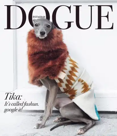 Italian Greyhound Tika poses on a DOGUE magazine cover wearing a luxurious brown fur collar and patterned coat, captioned “Tika: It’s called fashun. google it!”