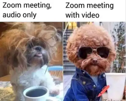 Left: messy brown dog with coffee; right: same dog groomed, wearing sunglasses and denim jacket holding pen and cup; text “Zoom meeting audio only” vs “Zoom meeting with video”